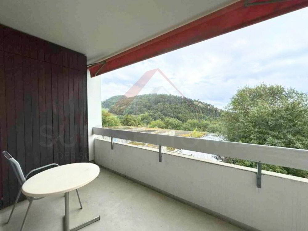Appartement 1 pièces à acheter à Lostorf - image 1/5