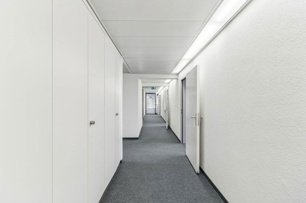 null rooms Office & Commercial for rent in Zurigo - image 1/13