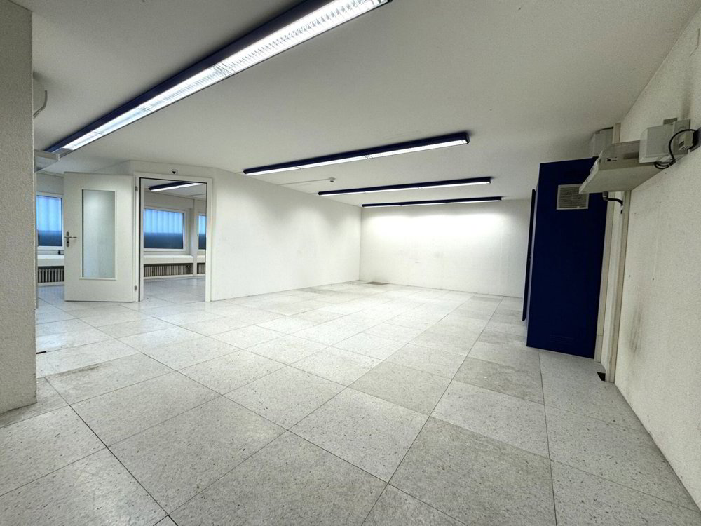 Ufficio & Commercio di null locali in affitto a St. Gallen - immagine 1/13
