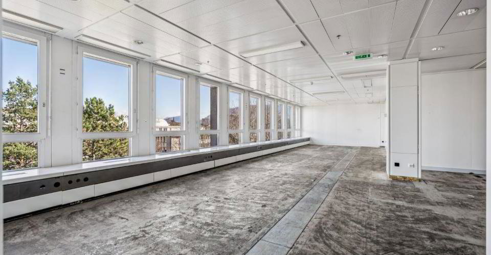 Ufficio & Commercio di null locali in affitto a Petit-Lancy - immagine 1/13