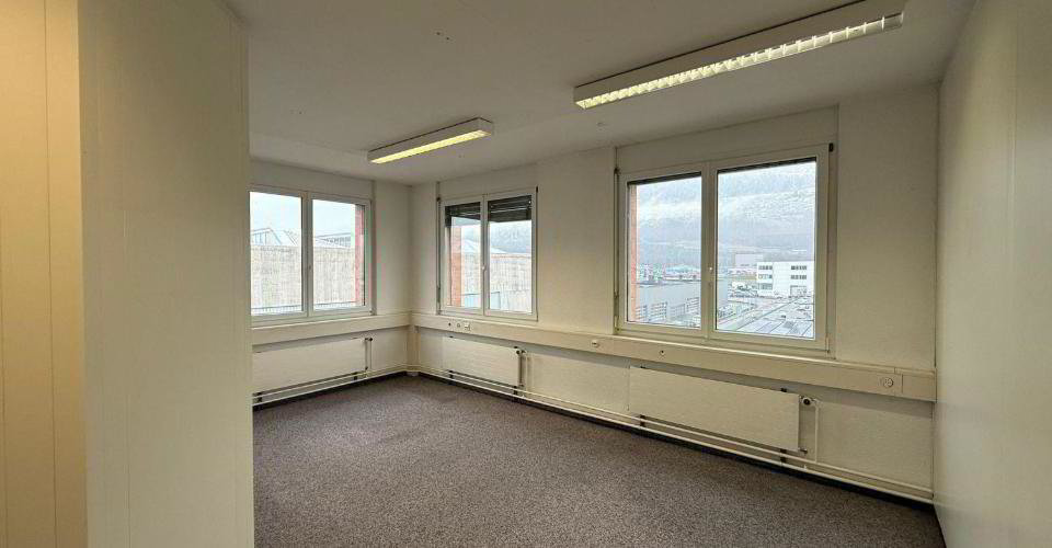 Ufficio & Commercio di null locali in affitto a Sion - immagine 1/13