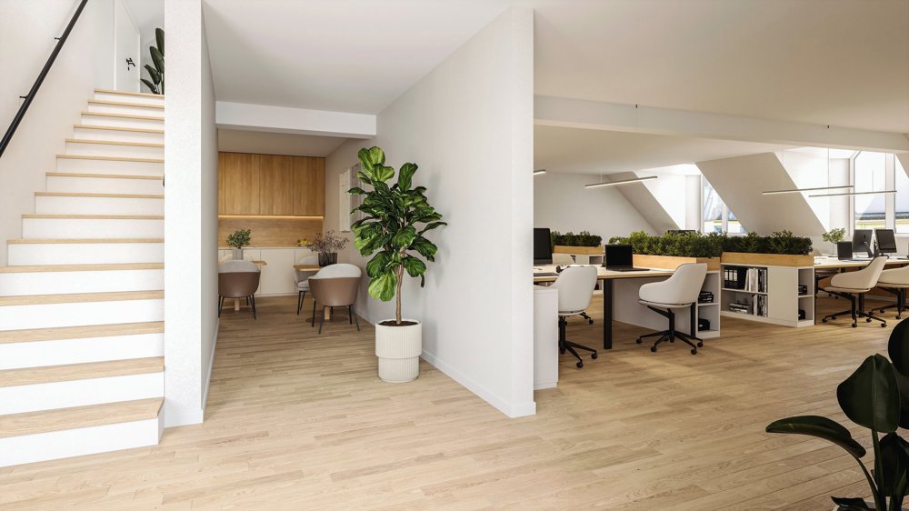 Ufficio & Commercio di null locali in affitto a Berne - immagine 1/3