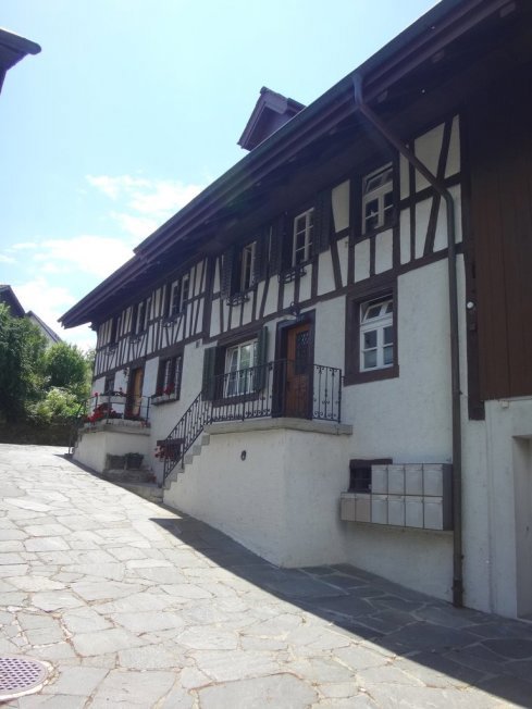 2 Zimmer Wohnung zu vermieten in Aesch ZH - Bild 1/1