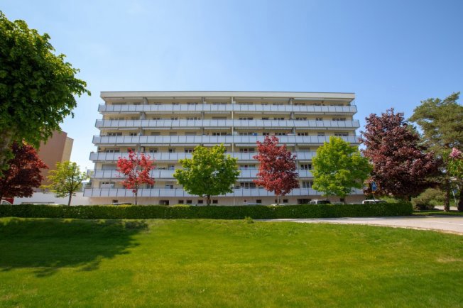 null rooms Office & Commercial for rent in Romont FR - image 1/1