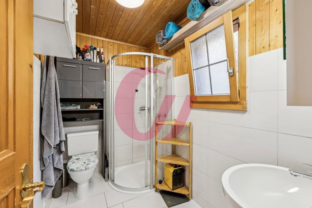 Maison 4.5 pièces à acheter à Crésuz - image 1/11