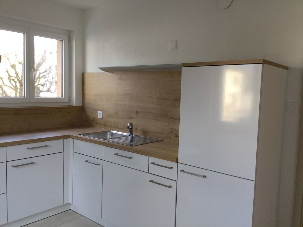Altro di null locali in vendita a Delémont - immagine 1/12