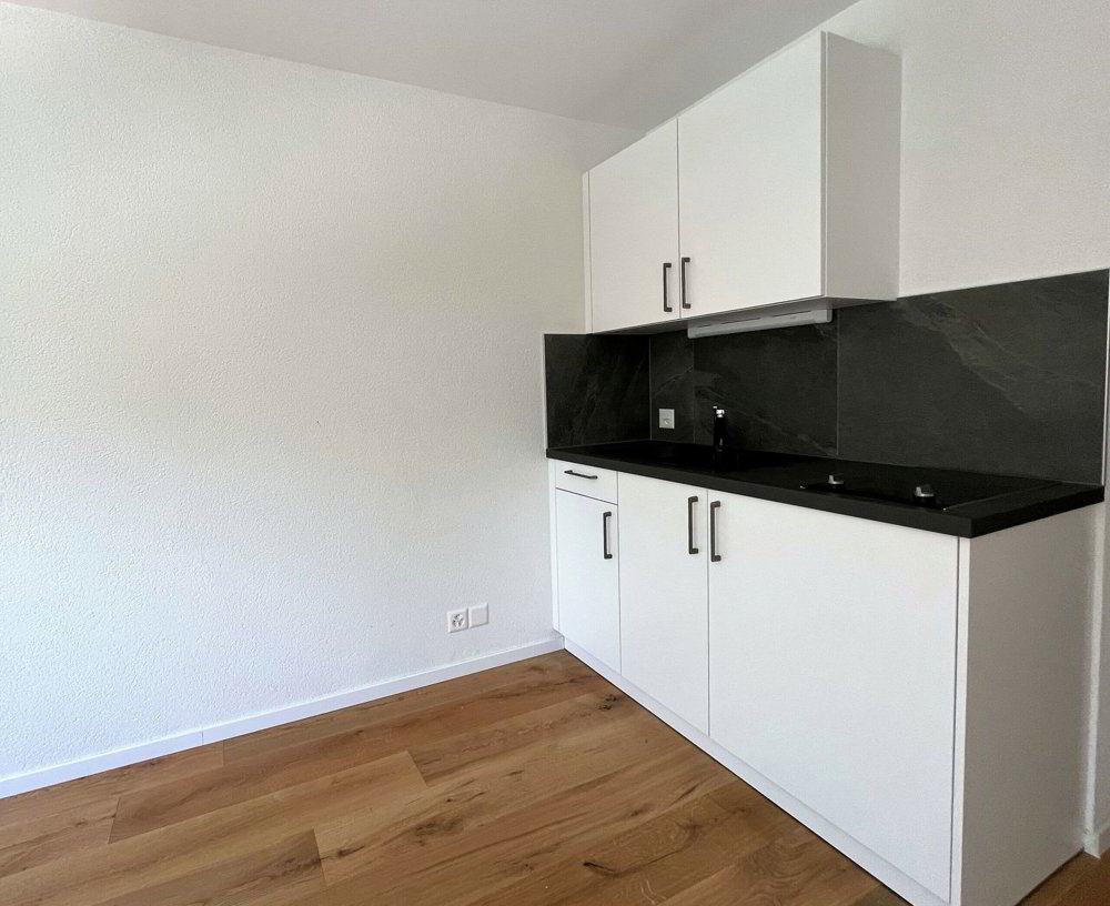 1 Zimmer Wohnung zu vermieten in Fribourg - Bild 1/3