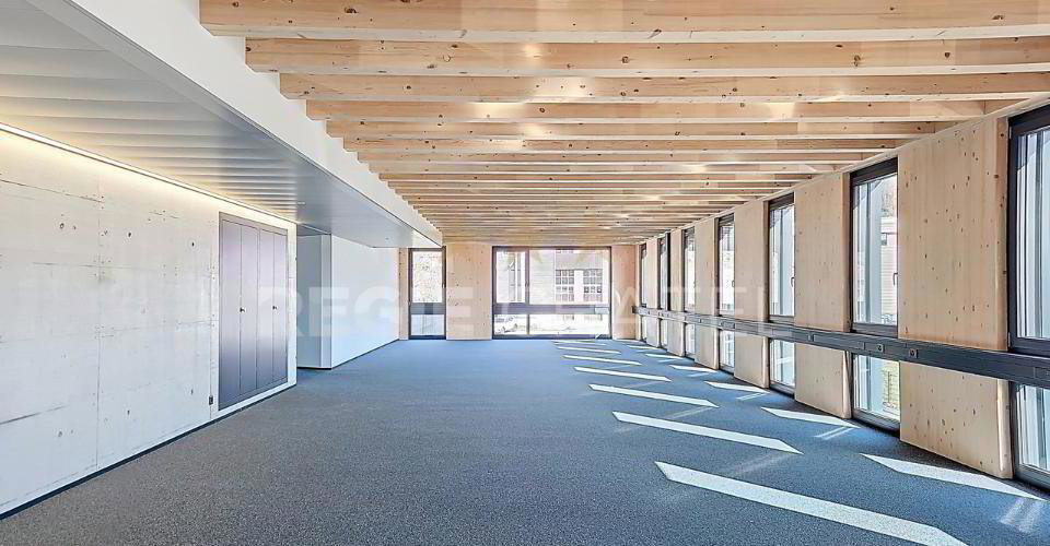 Ufficio & Commercio di null locali in affitto a Châtel-St-Denis - immagine 1/3