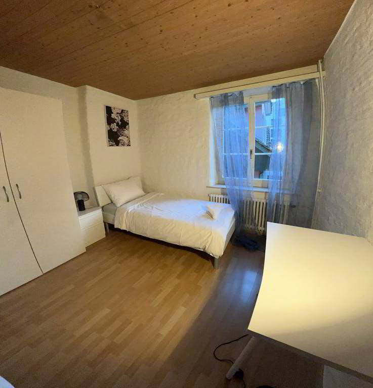 Appartamento di 3 locali in affitto a Langnau am Albis - immagine 1/10