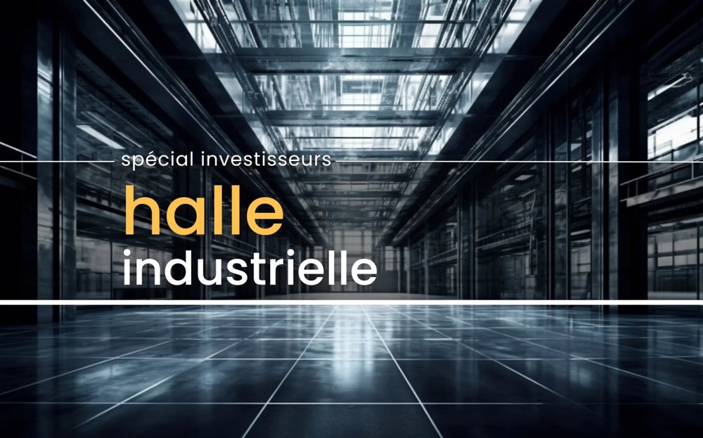 Ufficio & Commercio di null locali in vendita a Bouveret - immagine 1/1