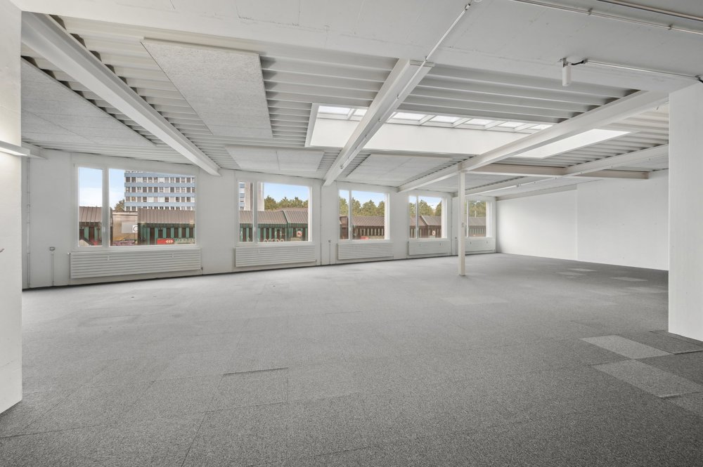 null rooms Office & Commercial for rent in Basilea - image 1/8