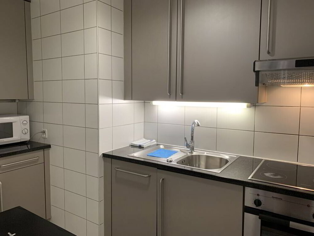 Appartamento di 3 locali in affitto a Geneva - immagine 1/13