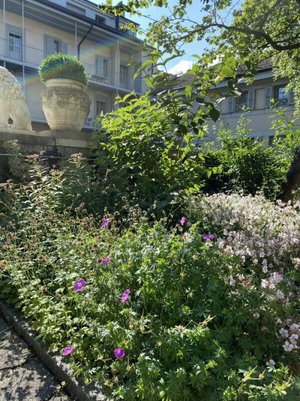 7 Zimmer Wohnung zu vermieten in Carouge GE - Bild 1/12
