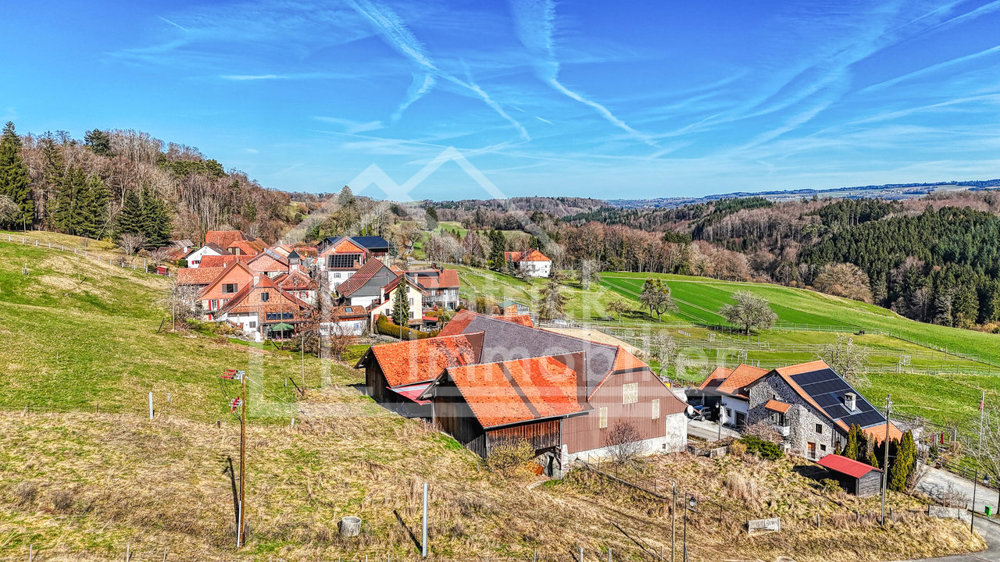 3 Zimmer Haus zum verkaufen in Oulens-sur-Lucens - Bild 1/13