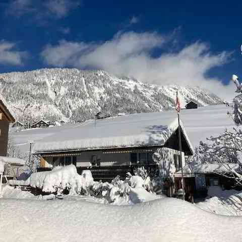 Maison 7.5 pièces à acheter à Wildhaus - image 1/13
