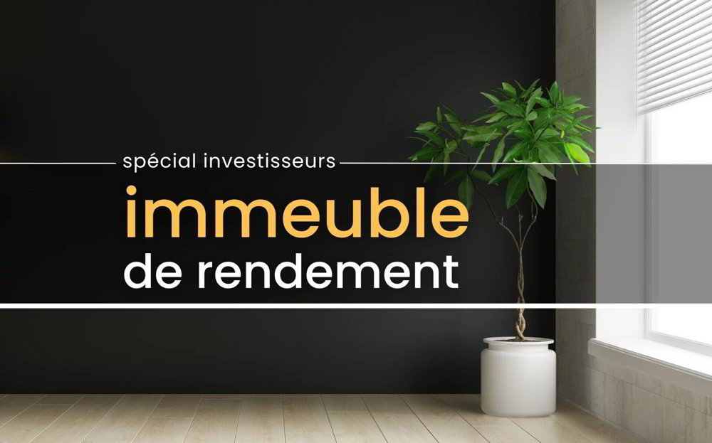 Immeuble mixte de 9.5 pièces en vente à Bex - 310 m²