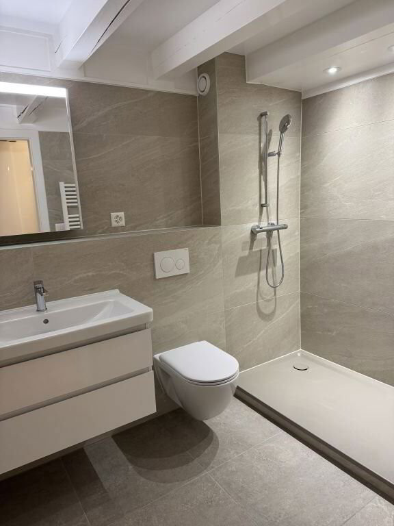 7 Zimmer Wohnung zu vermieten in Carouge GE - Bild 1/13