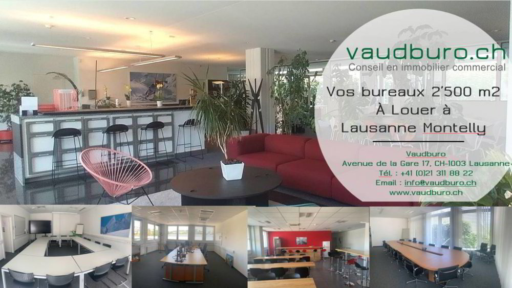 Bureau & Commerce null pièces à louer à Lausanne - image 1/11