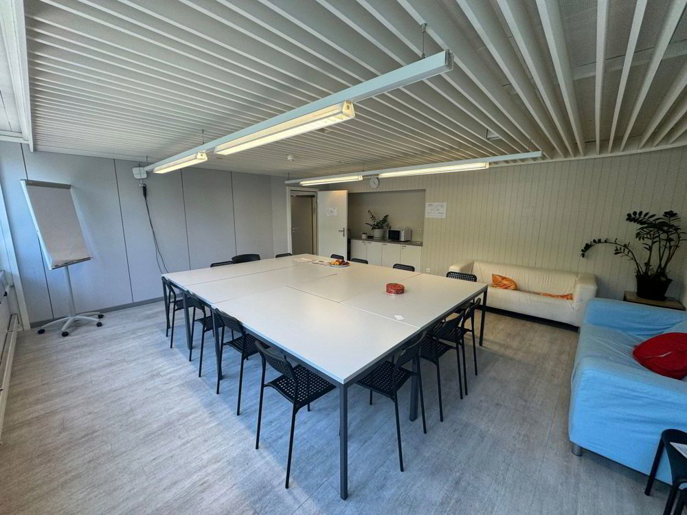 Ufficio & Commercio di null locali in affitto a Thoune - immagine 1/13
