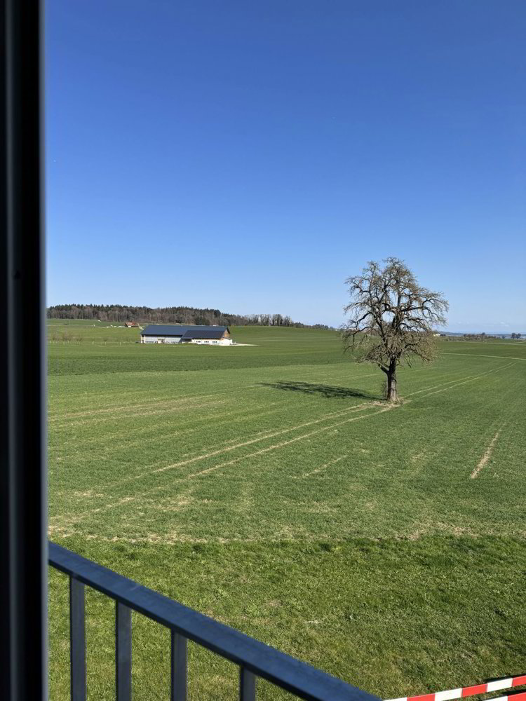 5.5 Zimmer Haus zum verkaufen in Wetzikon TG - Bild 1/8