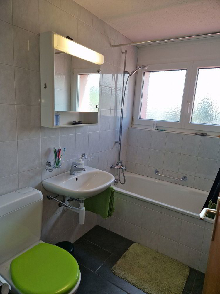 4.5 Zimmer Wohnung zu vermieten in Weinfelden - Bild 1/9
