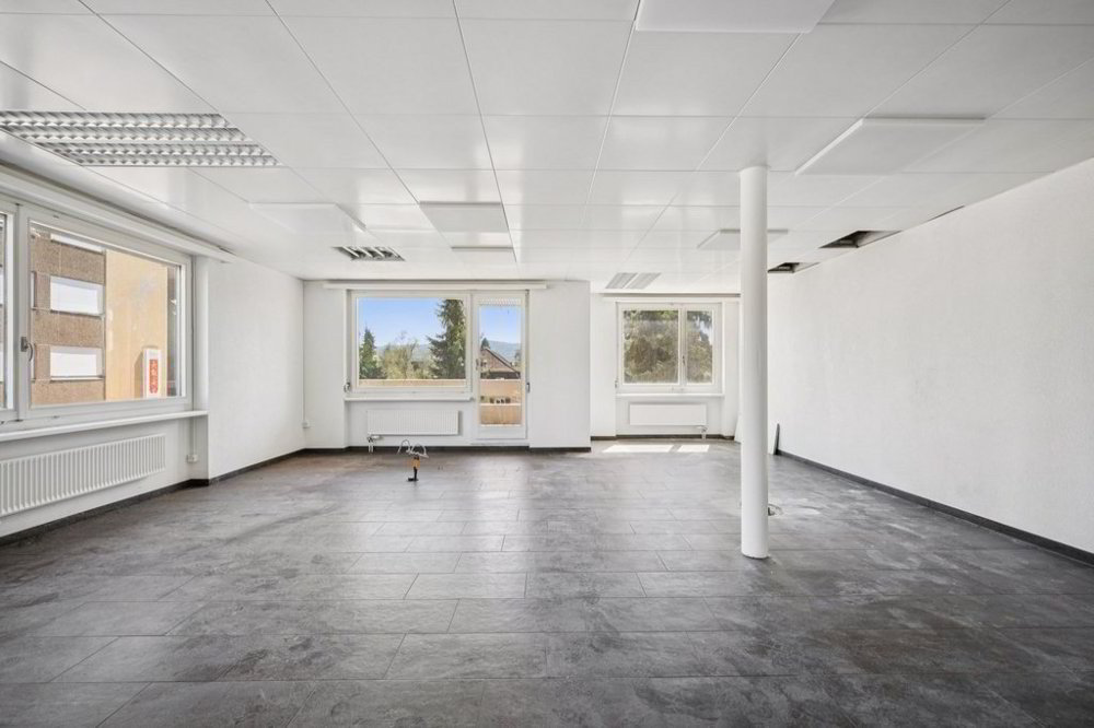 null rooms Office & Commercial for rent in Unterengstringen - image 1/6