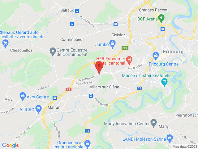 Appartamento di 1 locali in affitto a Villars-sur-Glâne - immagine 1/5