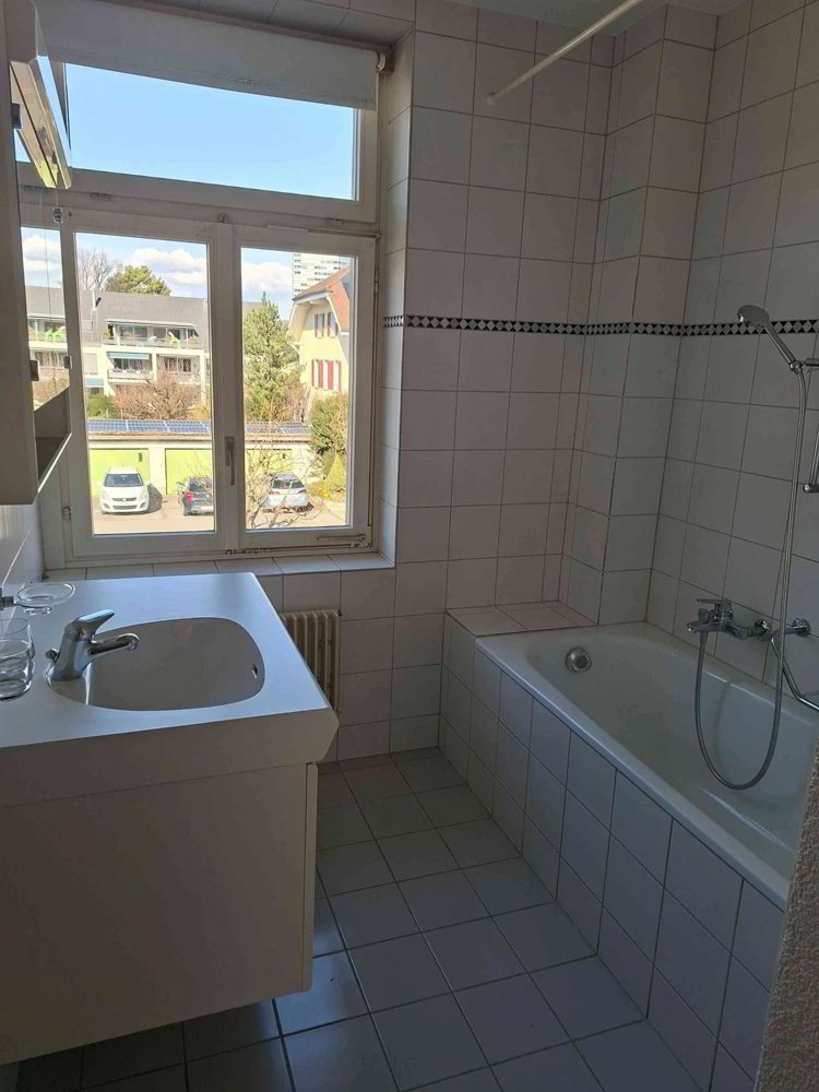 3.5 rooms Apartment for rent in Pratteln - image 1/9