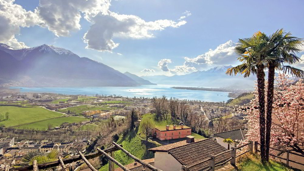 Casa di 4.5 locali in vendita a Gordola - immagine 1/14