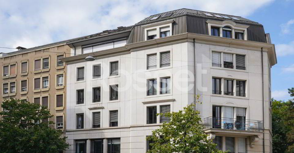 Bureau & Commerce null pièces à louer à Genève - image 1/8