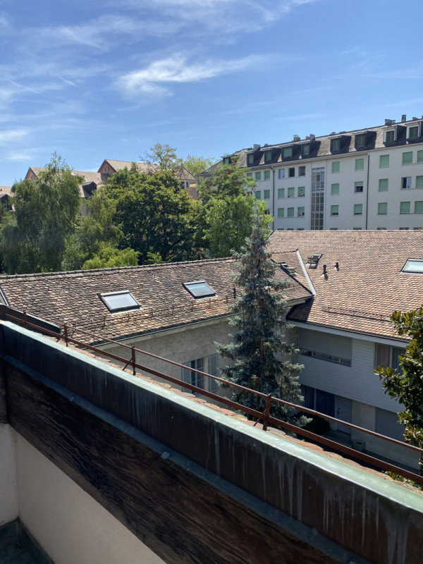 2 Zimmer Wohnung zu vermieten in Carouge GE - Bild 1/8