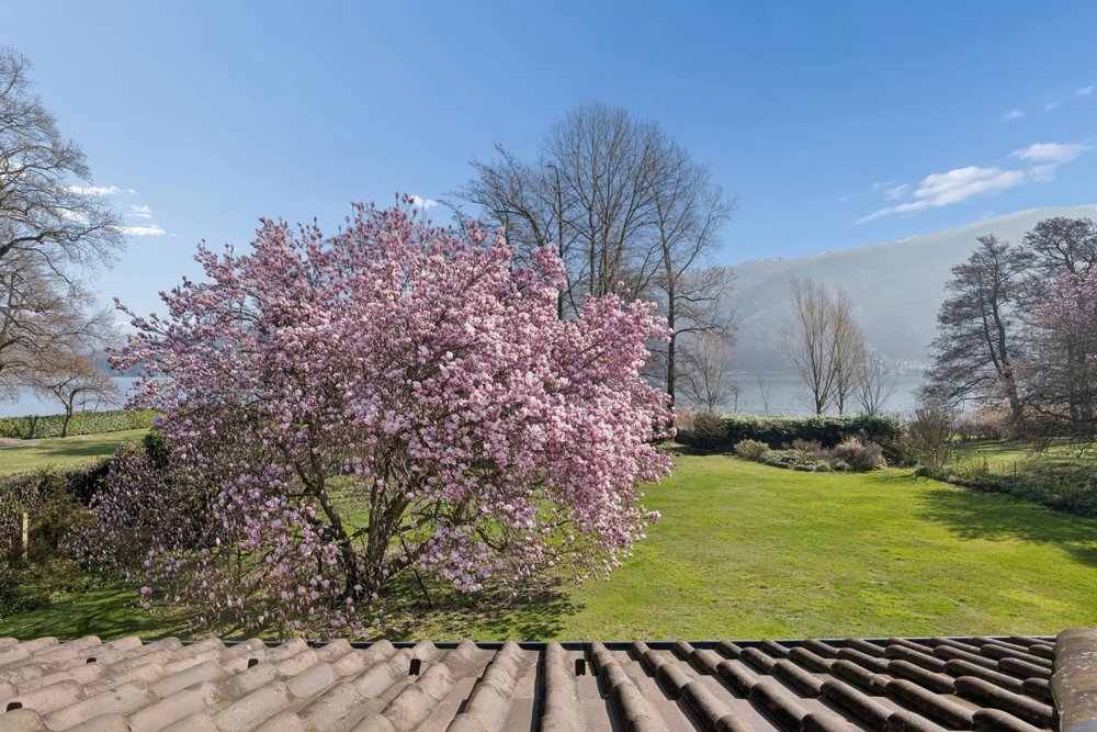 15 Zimmer Haus zum verkaufen in Magliaso - Bild 1/13