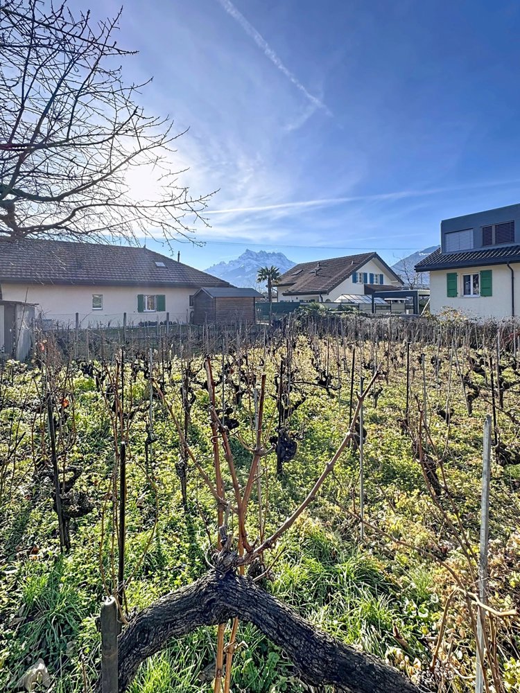 Maison 3 pièces à acheter à Aigle - image 1/13