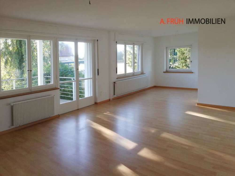 Maison 11.5 pièces à acheter à Biberist - image 1/13