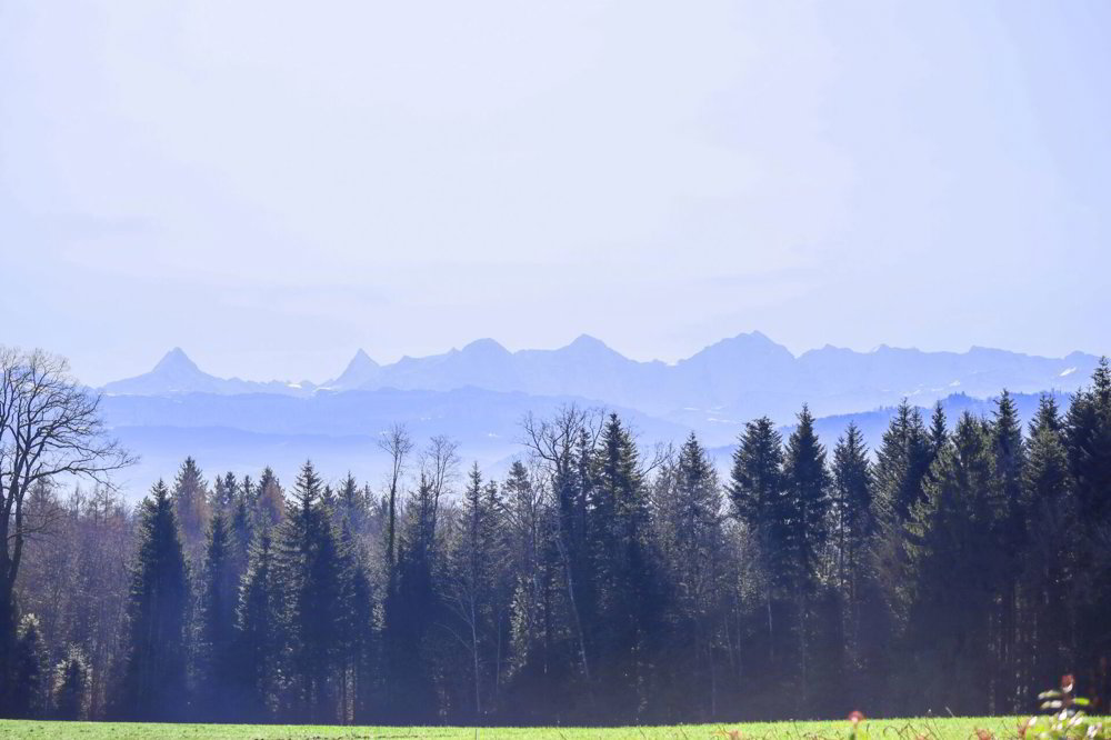 7.5 rooms House to buy in Wohlen b. Bern - image 1/15