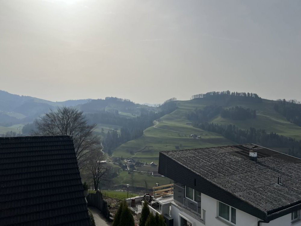 Appartamento di 4.5 locali in vendita a Mogelsberg - immagine 1/19