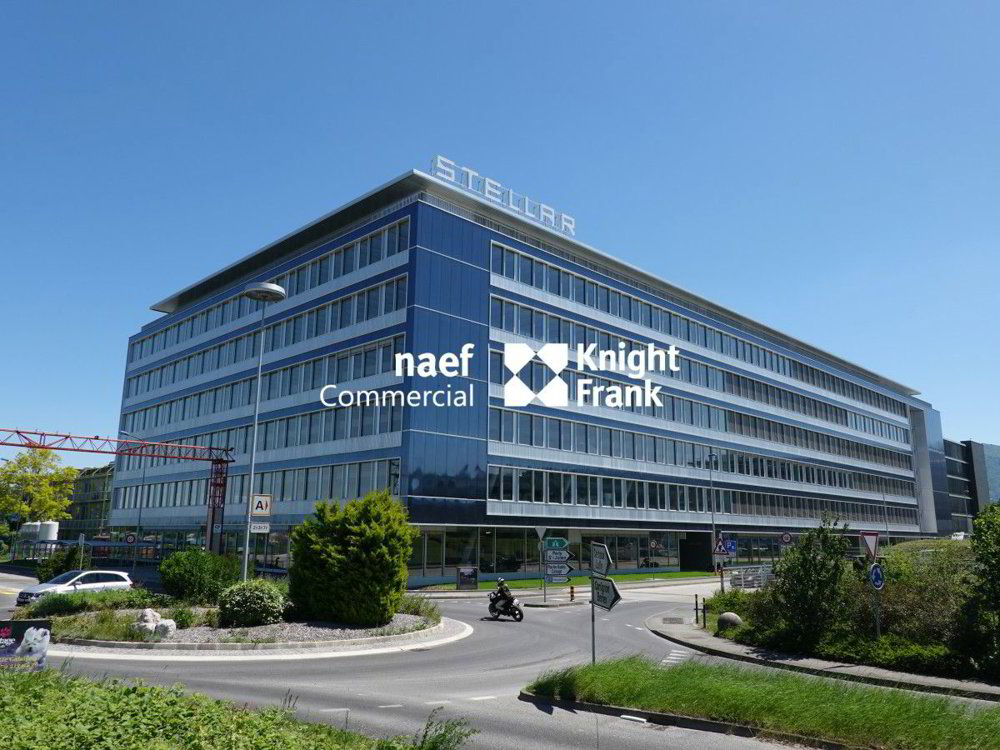 Ufficio & Commercio di null locali in affitto a Carouge GE - immagine 1/4