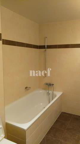 Appartamento di 1 locali in affitto a Coppet - immagine 1/4