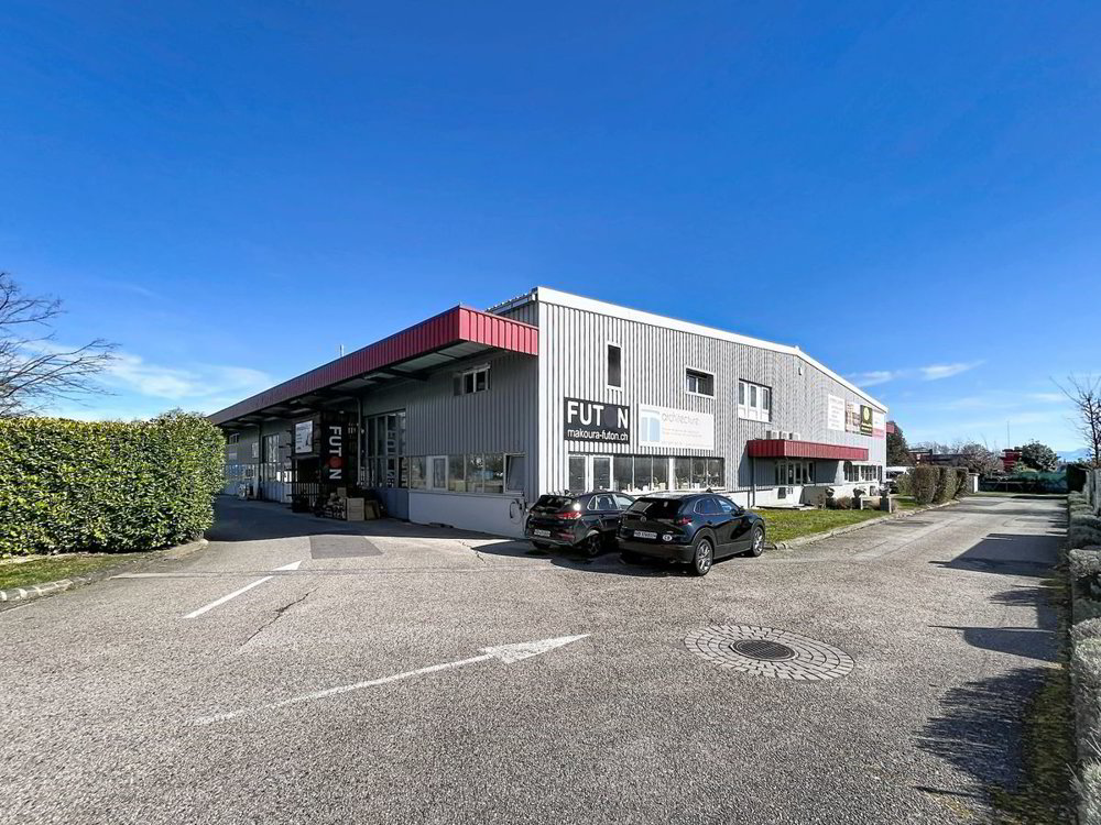 Ufficio & Commercio di null locali in affitto a Etoy - immagine 1/11