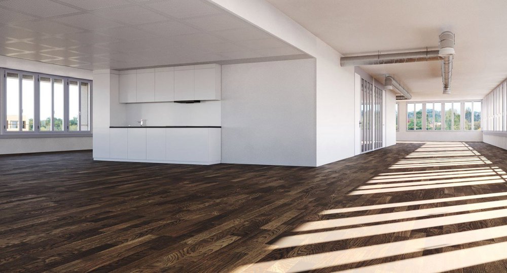 null Zimmer Büro zu vermieten in Crissier - Bild 1/11