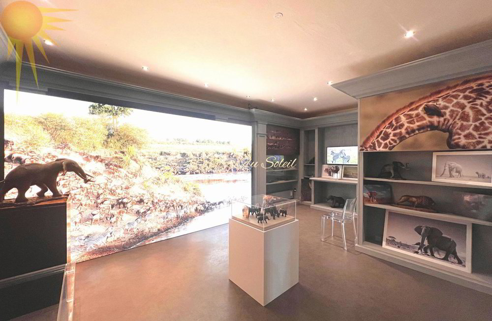 4 rooms Office & Commercial to buy in Crans-Montana - image 1/4