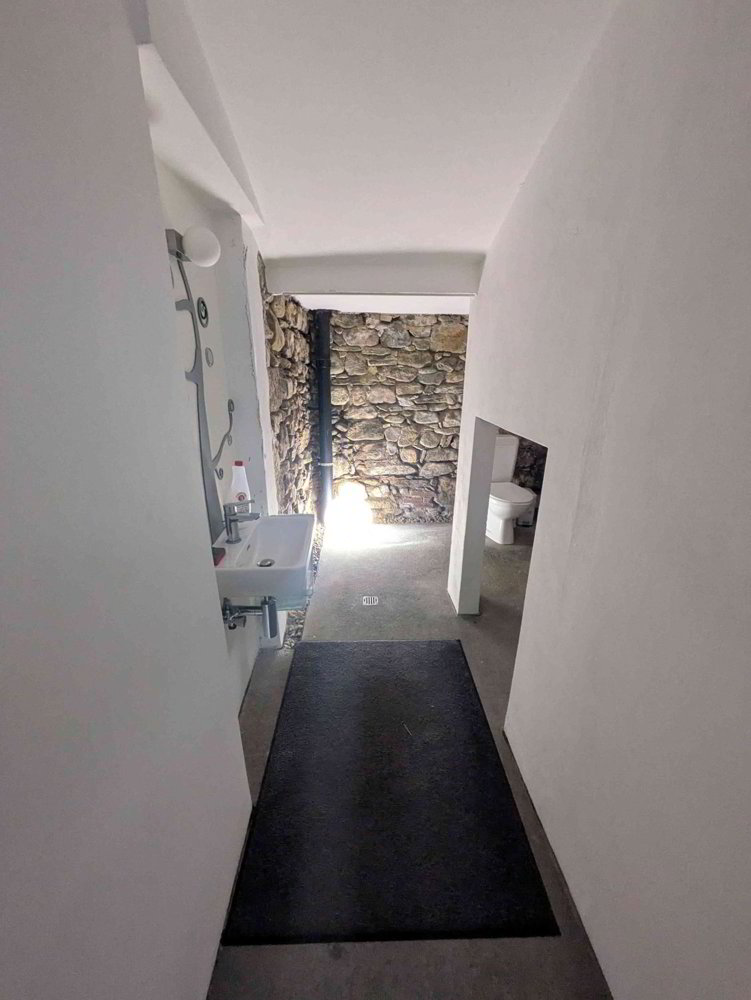 Ufficio & Commercio di 2 locali in affitto a Ponte Tresa - immagine 1/5