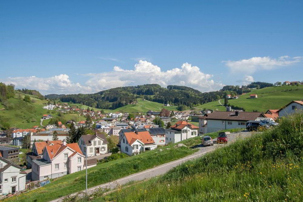 6.5 Zimmer Haus zum verkaufen in Heiden - Bild 1/5