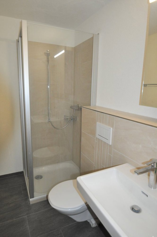 Appartement 3.5 pièces à louer à Birr - image 1/5