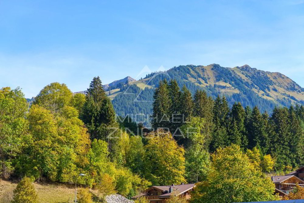 3 rooms Apartment for rent in Gstaad - image 1/11