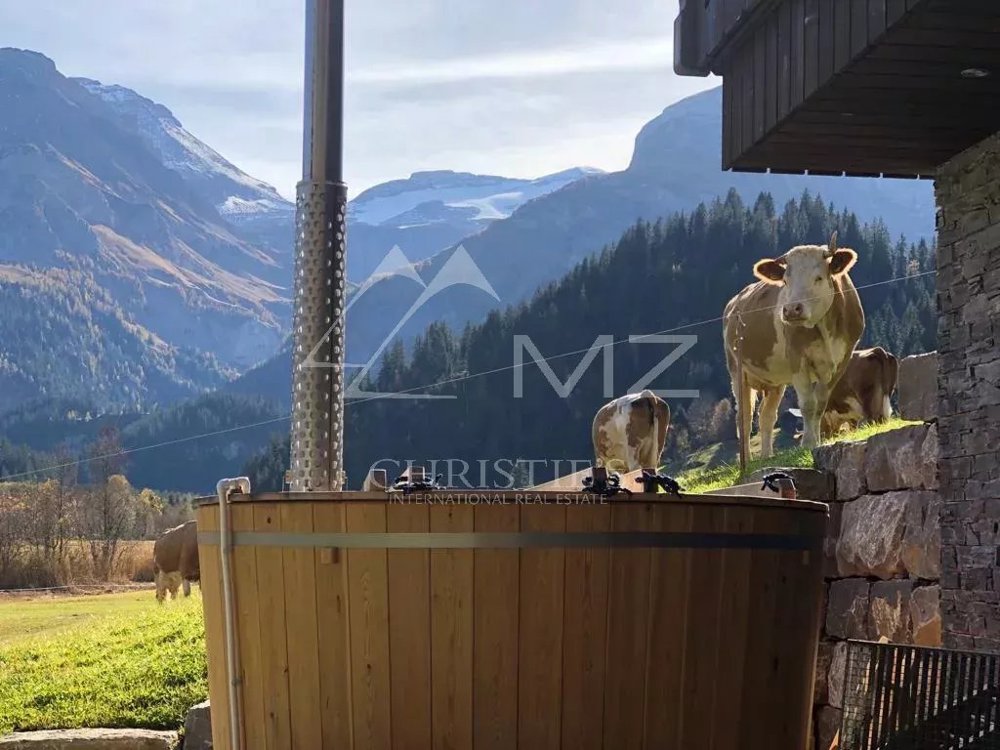 Casa di 4 locali in affitto a Lauenen b. Gstaad - immagine 1/13