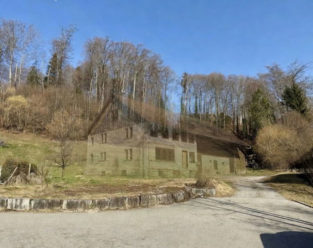Appartement 4.5 pièces à acheter à Wald ZH - image 1/3