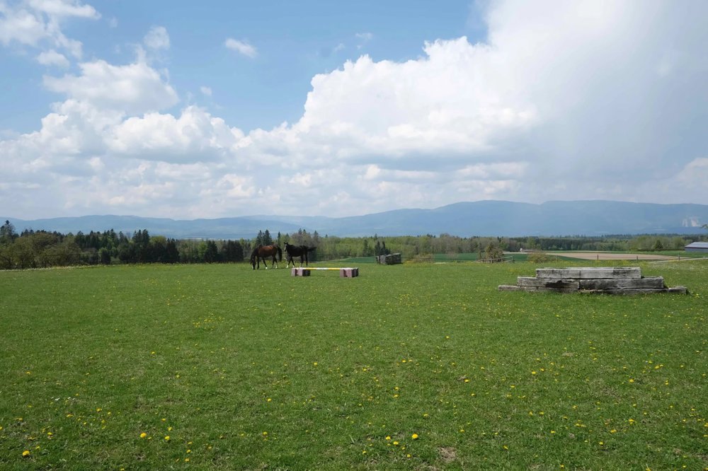 Terreno di null locali in vendita a Vuarrens - immagine 1/5