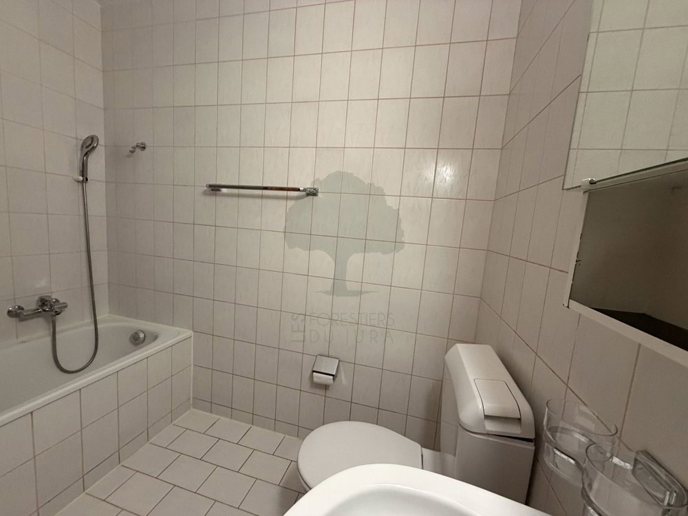 4.5 Zimmer Wohnung zu vermieten in Pruntrut - Bild 1/10