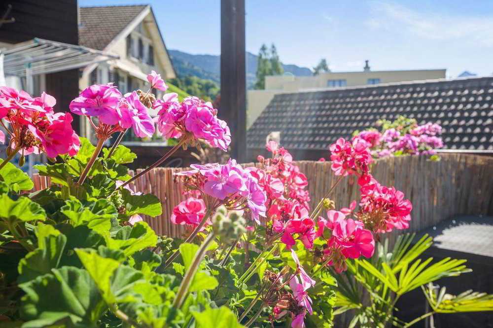 Appartamento di 6 locali in vendita a Neu St. Johann - immagine 1/13